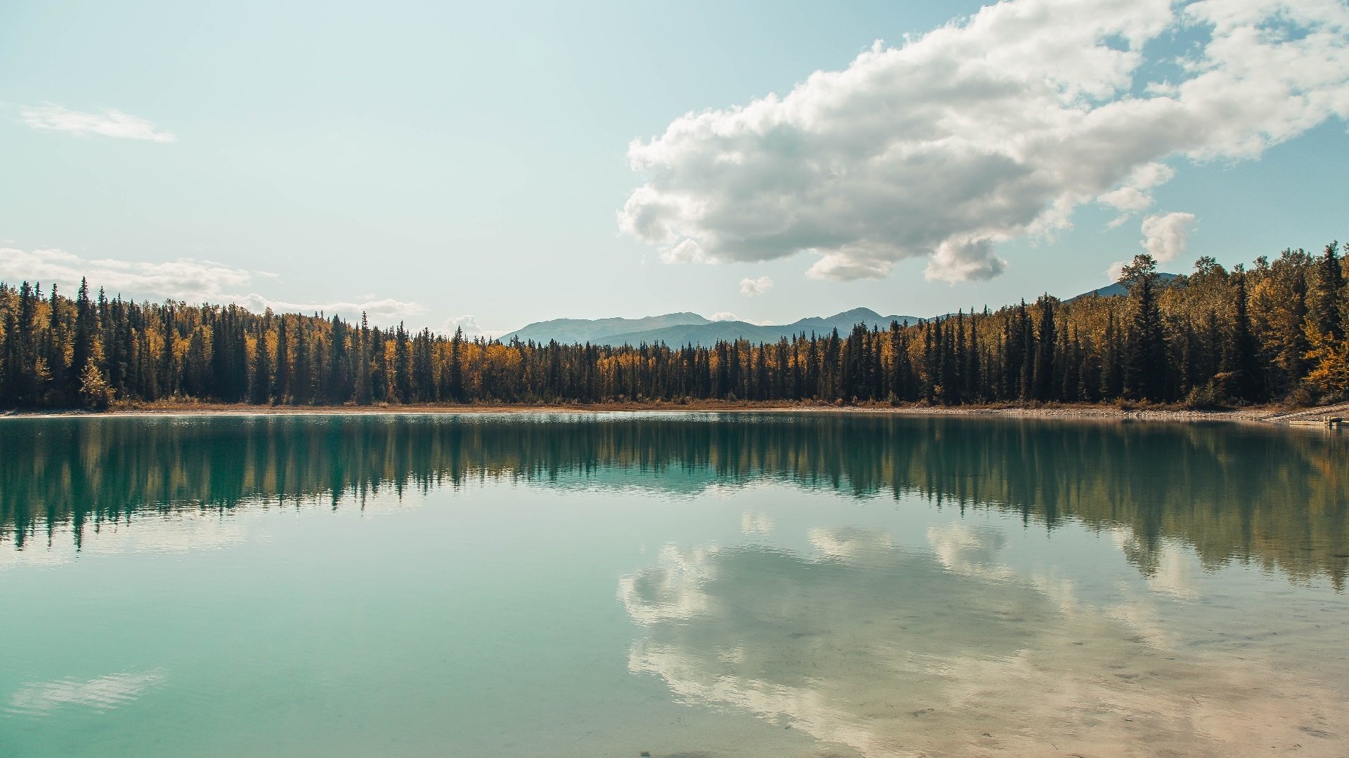 Kaiyun官方登录入口-布朗、蒂格和塔图姆领衔的凯尔特人目标夺冠，凯尔特人布朗打什么位置